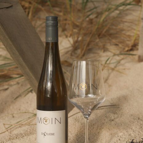 Moin Weinglas - Duo Moin Weinglas - Duo