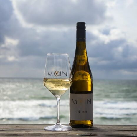 Moin Weinglas - Duo Moin Weinglas - Duo